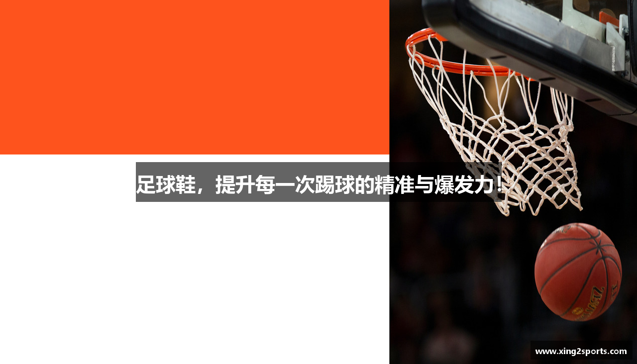 新2官网